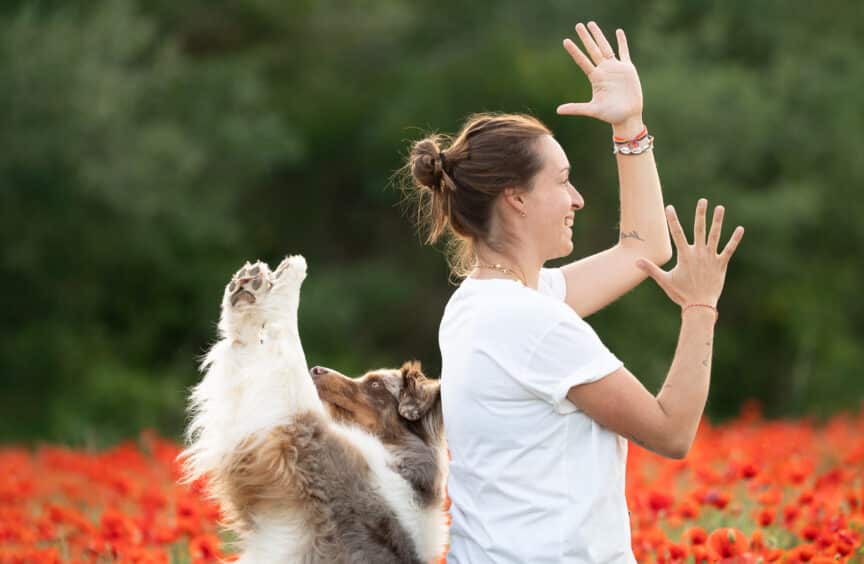 Stage de Dogdancing (1 jour)